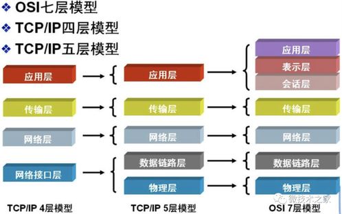 计算机网络基础 从原理到安装维护的全面指南